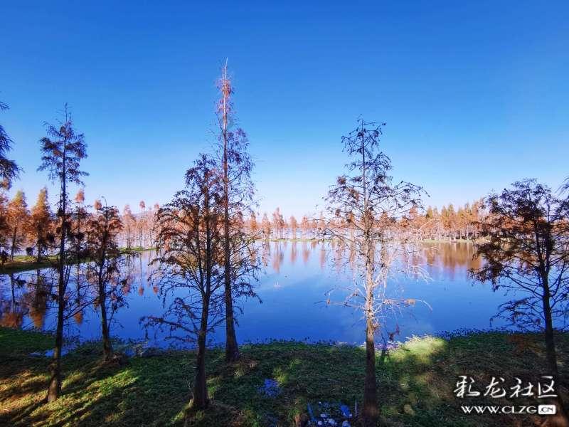 文明：太空
